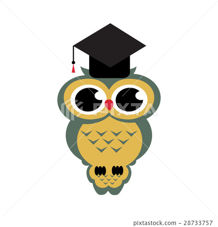 Vector owl sitting on a branch on the isolated  28733757