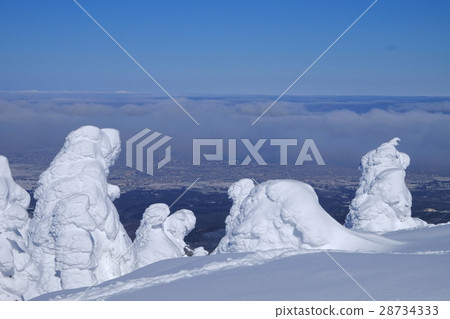 Monster fellow Monster fellow 28734333