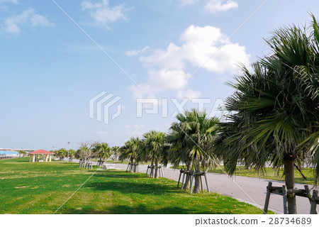 Okinawa Okinawa 28734689