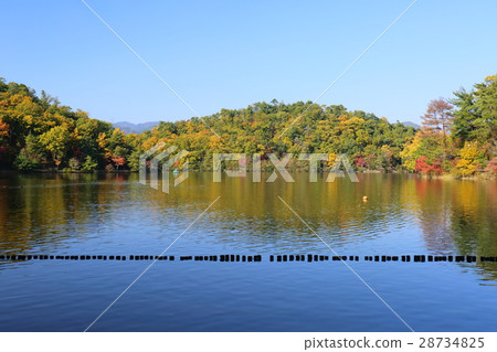 Kyoto Fall treasure park park 28734825