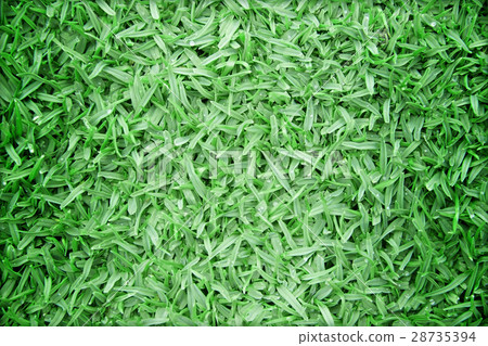 Beautiful green grass texture Beautiful green grass texture 28735394