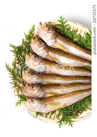 Hatahata overnight dried 28735575