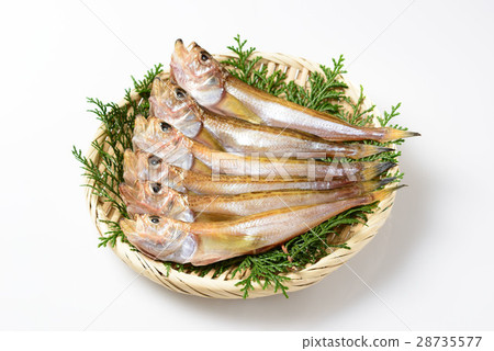 Hatahata一夜之間乾燥 28735577