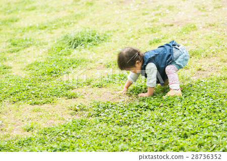 Infant Spring Playing in Green Spring Infant Spring Playing in Green Spring 28736352