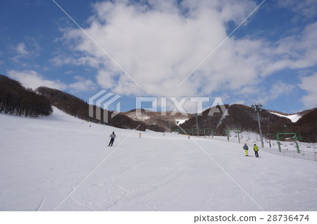 札幌Algaeyama滑雪勝地 28736474