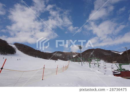 札幌Algaeyama滑雪勝地家庭斜坡 札幌Algaeyama滑雪勝地家庭斜坡 28736475
