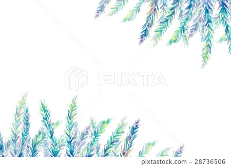 Watercolor illustration Rosemary frame Watercolor illustration Rosemary frame 28736506