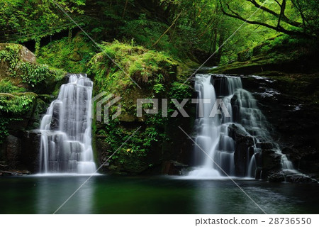 Red Eye Shimpaki Falls Akame Five Waterfalls Burden Falls (Summer) Red Eye Shimpaki Falls Akame Five Waterfalls Burden Falls (Summer) 28736550
