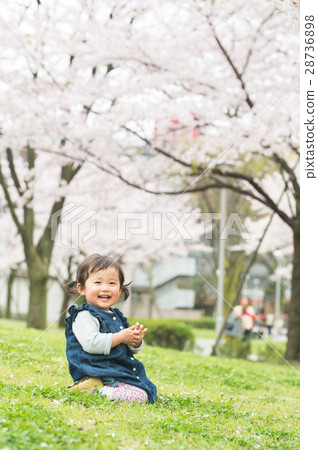 Infant Spring to Play Under Cherry Blossoms Infant Spring to Play Under Cherry Blossoms 28736898