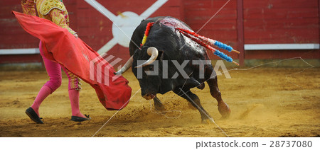 El Toro - Bullfigth corrida 28737080