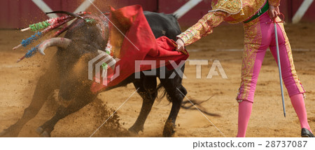 El Toro - Bullfigth corrida El Toro - Bullfigth corrida 28737087