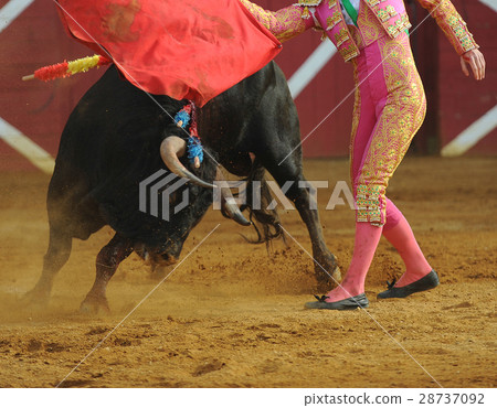 El Toro - Bullfigth corrida 28737092
