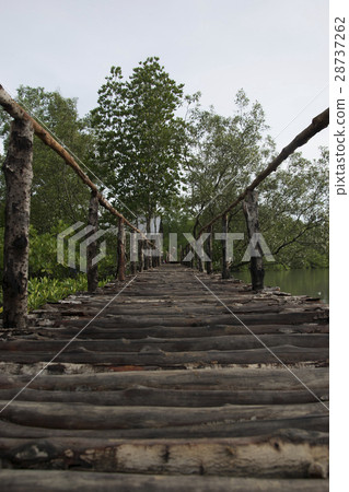 bridge wood , wood bridge 28737262