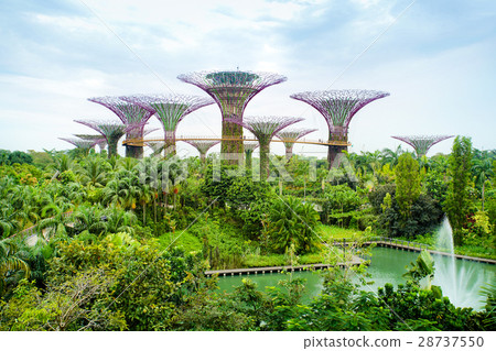 Gardens by the bay Singapore Gardens by the bay Singapore 28737550
