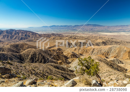 Joshua Tree National Park 28738098