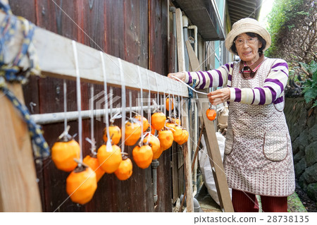 Japanese elderly who work in field 28738135