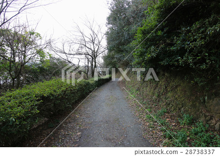Ehime Prefecture Yawatahama-shi Suwasaki promenade Ehime Prefecture Yawatahama-shi Suwasaki promenade 28738337