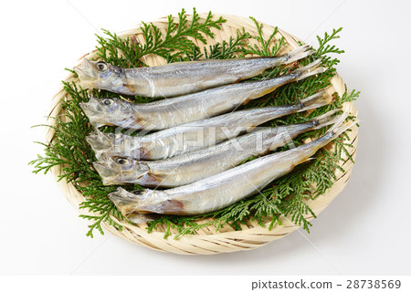 Child's tooth fetish Child's tooth fetish 28738569