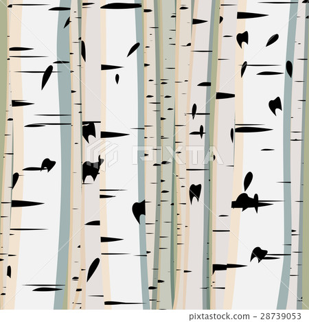 Square illustration of trunks birches. Square illustration of trunks birches. 28739053