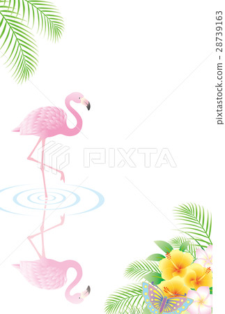 火烈鳥和海濱的風景 28739163