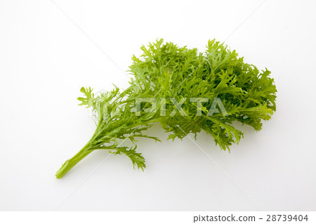 Yama Ao Yama Ao 28739404