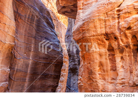 Rocks of pink sandstone in Petra, Jordan 28739834