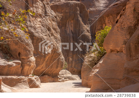 Siq passage in Petra, Jordan 28739838