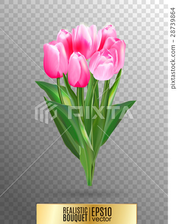 Pink tulip with green leaves illustration 28739864