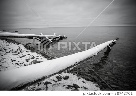 monochrome picture 28742701