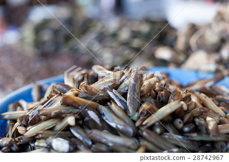 Oysters, mussels and scallops Oysters, mussels and scallops 28742967