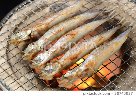 Child's tooth fetish 28743037