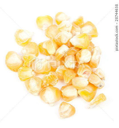 corn isolated 28744638