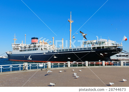 Hikawa Maru and plenty of seagulls Hikawa Maru and plenty of seagulls 28744673