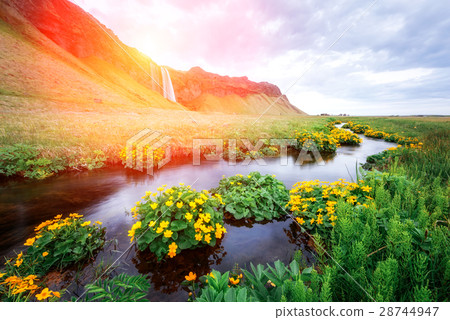 Seljalandfoss 28744947