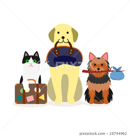 Dog and cat small group travel 28744962