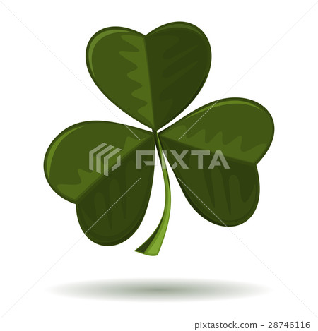 Shamrock, trifoliate clover - symbol of Ireland Shamrock, trifoliate clover - symbol of Ireland 28746116
