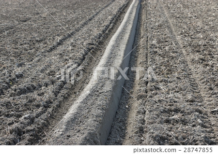 Work before rice planting, rice paddy Work before rice planting, rice paddy 28747855