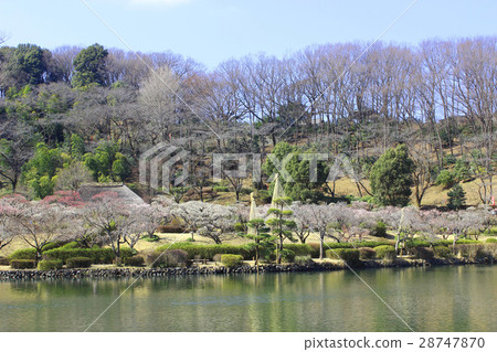 Yakushoen of Yakushiya Park 28747870