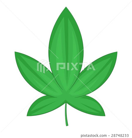 Cannabis leaf icon, cartoon style 28748233