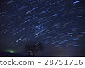 在滿天星斗的天空中的一顆星櫻桃樹 28751716