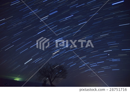 One star cherry tree in the starry sky One star cherry tree in the starry sky 28751716