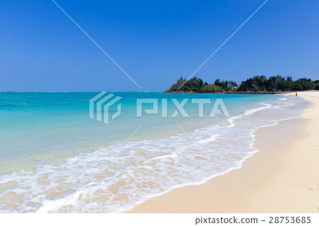 Okinawa _ Beautiful Tropical beach 28753685