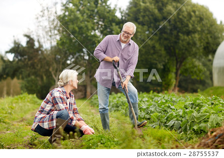 senior couple working in garden or at summer farm 28755537