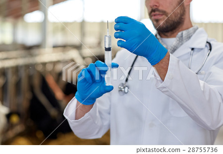 veterinarian hand with vaccine in syringe on farm veterinarian hand with vaccine in syringe on farm 28755736