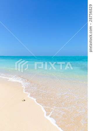 在Okinawa_Swonderland熱帶海灘 28756829