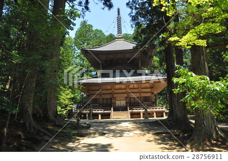 Koyasan alpaca Buddhist west tower 28756911