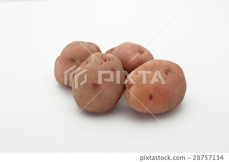 馬鈴薯Beniakari 28757134