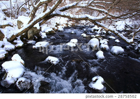 Clear current of Tateshina in winter in Nagano prefecture Clear current of Tateshina in winter in Nagano prefecture 28758502