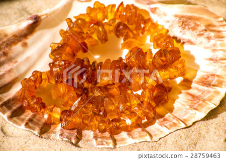 amber necklace amber necklace 28759463