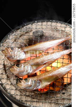 Hatahata一夜之間乾燥 28759655